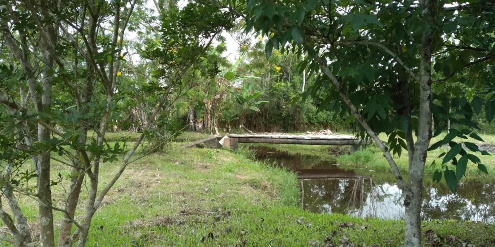 Chacará Litoral Peruibe/SP - Foto 6 de 16